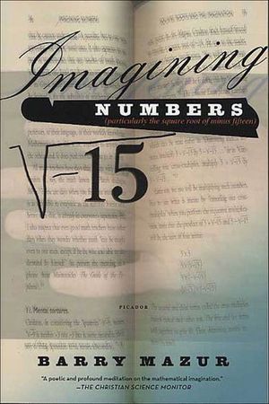 Buy Imagining Numbers at Amazon