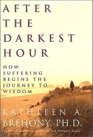 Buy After the Darkest Hour at Amazon