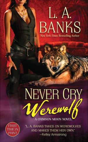 Buy Never Cry Werewolf at Amazon