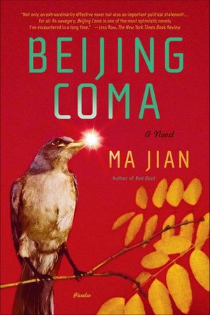 Buy Beijing Coma at Amazon