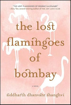 The Lost Flamingoes of Bombay