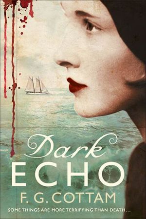 Buy Dark Echo at Amazon