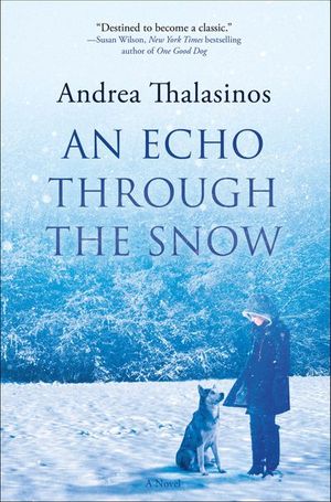 Buy An Echo Through the Snow at Amazon