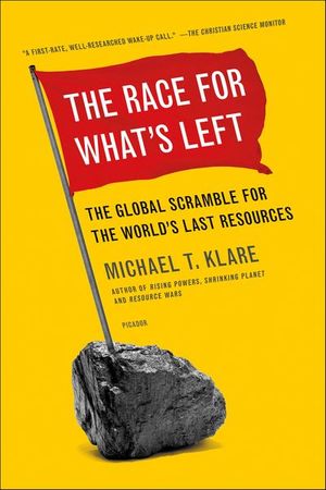 Buy The Race for What's Left at Amazon