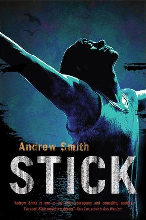 Buy Stick at Amazon