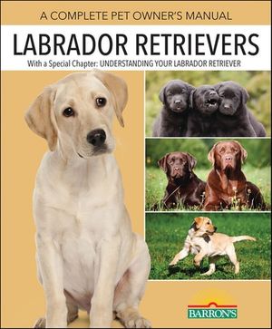 Labrador Retrievers