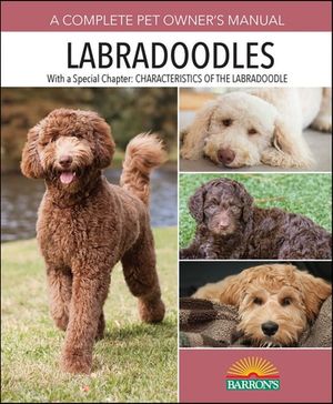 Labradoodles