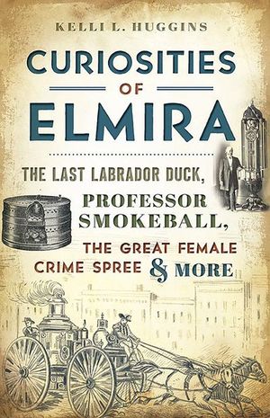 Curiosities of Elmira