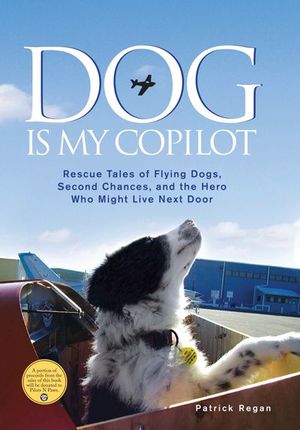 Buy Dog Is My Copilot at Amazon
