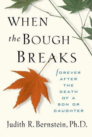 Buy When the Bough Breaks at Amazon