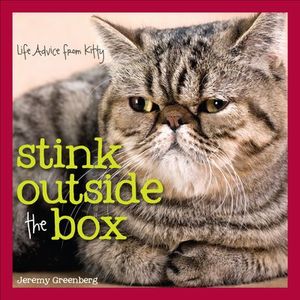 Buy Stink Outside the Box at Amazon