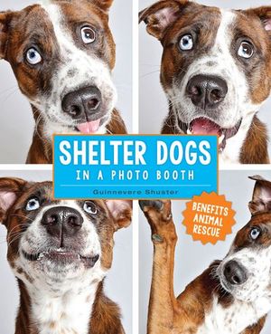 Buy Shelter Dogs in a Photo Booth at Amazon