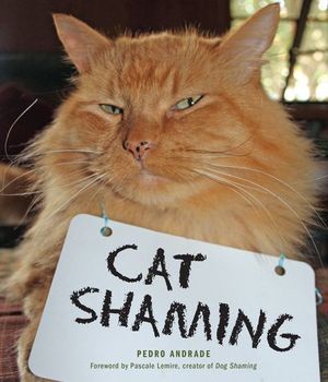 Buy Cat Shaming at Amazon
