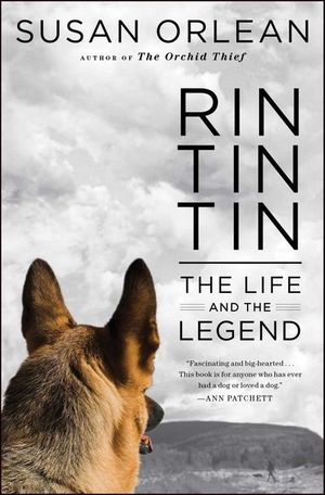 Rin Tin Tin