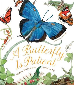 Buy A Butterfly Is Patient at Amazon