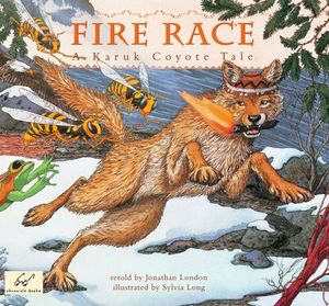 Buy Fire Race at Amazon