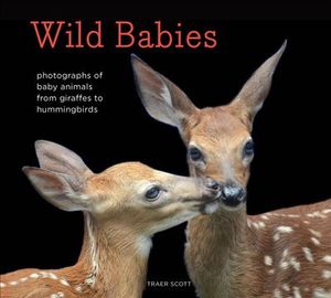 Buy Wild Babies at Amazon