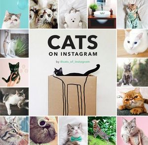 Buy Cats on Instagram at Amazon