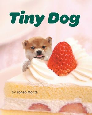Tiny Dog 