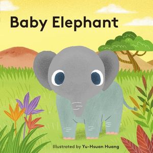 Buy Baby Elephant at Amazon