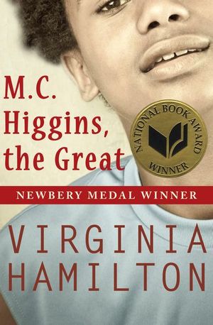 M.C. Higgins, the Great