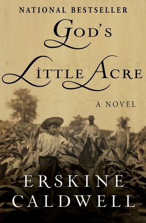 Buy God's Little Acre at Amazon