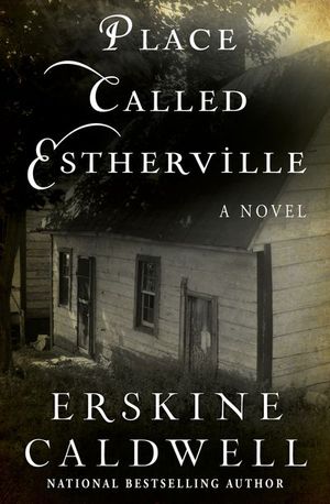 Buy Place Called Estherville at Amazon