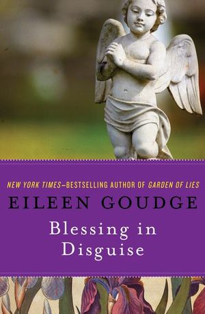 Buy Blessing in Disguise at Amazon