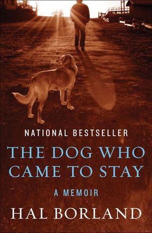 The Dog Who Came to Stay