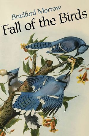 Fall of the Birds