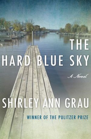 Buy The Hard Blue Sky at Amazon