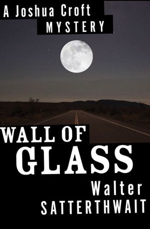 Buy Wall of Glass at Amazon