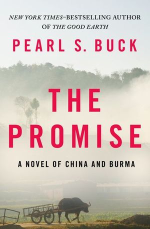 Buy The Promise at Amazon
