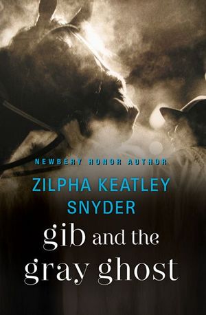 Buy Gib and the Gray Ghost at Amazon
