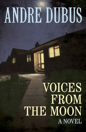 Buy Voices from the Moon at Amazon