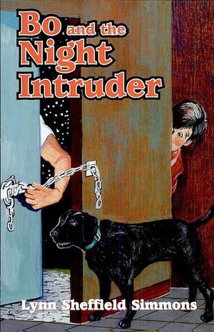 Buy Bo and the Night Intruder at Amazon