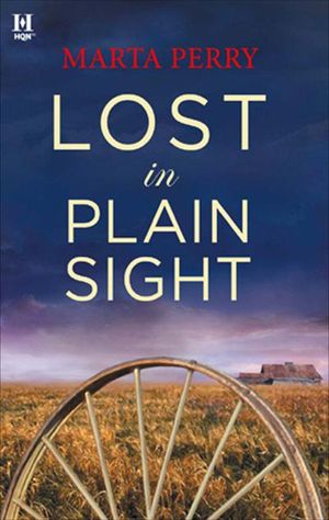Buy Lost in Plain Sight at Amazon