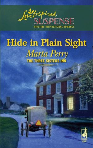 Buy Hide in Plain Sight at Amazon