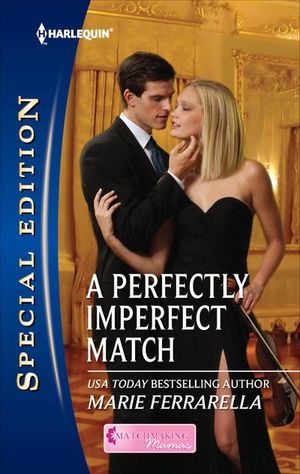 Buy A Perfectly Imperfect Match at Amazon