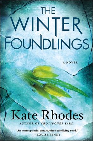 Buy The Winter Foundlings at Amazon