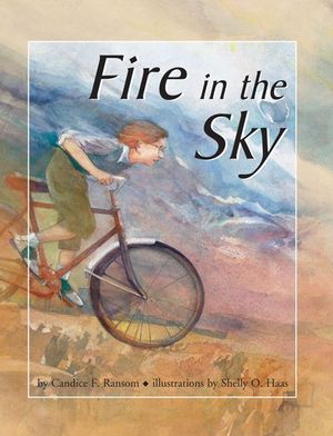 Buy Fire in the Sky at Amazon