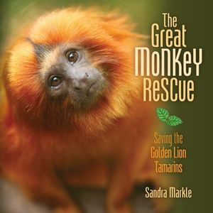 The Great Monkey Rescue