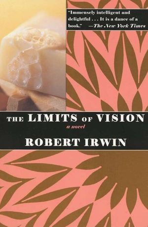 The Limits of Vision