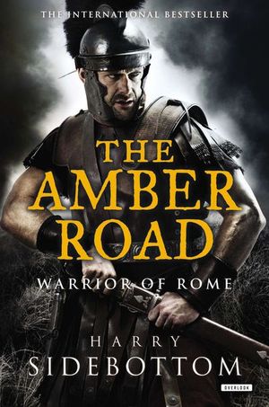 Buy The Amber Road at Amazon