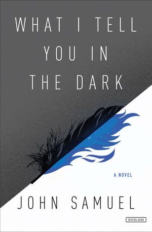 Buy What I Tell You in the Dark at Amazon