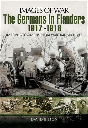 The Germans in Flanders, 1917–1918