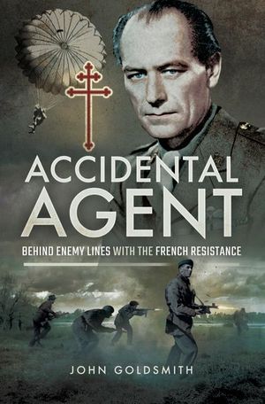 Buy Accidental Agent at Amazon