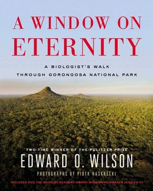 Buy A Window on Eternity at Amazon