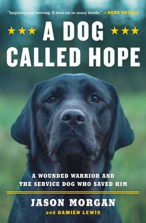 Buy A Dog Called Hope at Amazon