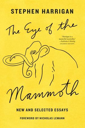 Buy The Eye of the Mammoth at Amazon